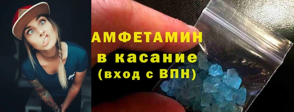индика Абаза