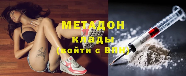 индика Абаза