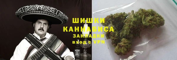 индика Абаза