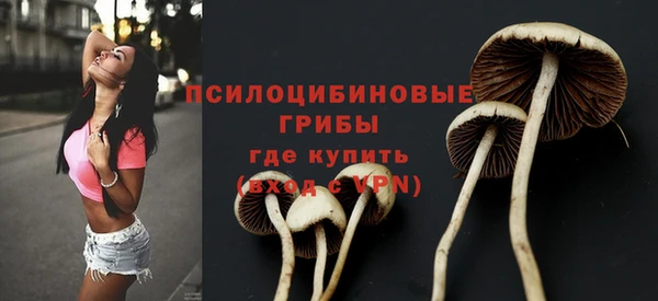 индика Абдулино