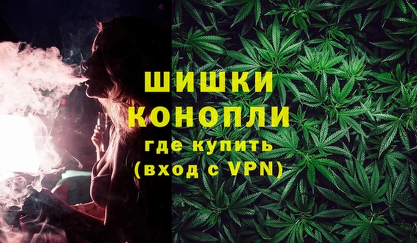 индика Абаза