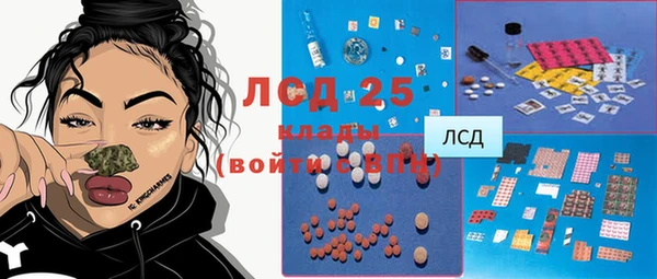 индика Абаза