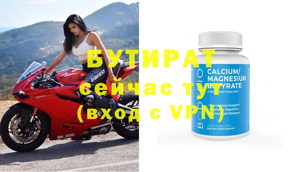 индика Абаза