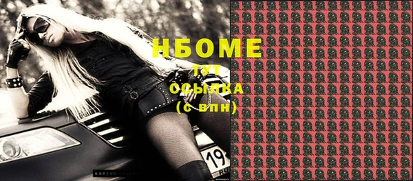 индика Абаза