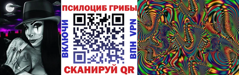 Псилоцибиновые грибы прущие грибы  сколько стоит  Приволжск 